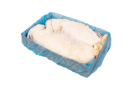 Kaninchen 3,5-4 kg (1 Stück)